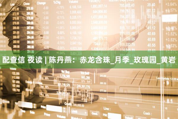 配查信 夜读 | 陈丹燕：赤龙含珠_月季_玫瑰园_黄岩
