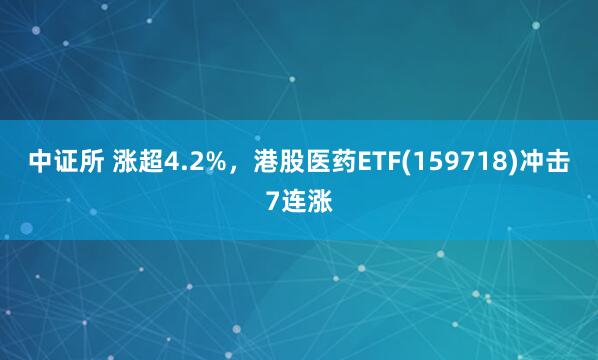 中证所 涨超4.2%，港股医药ETF(159718)冲击7连涨