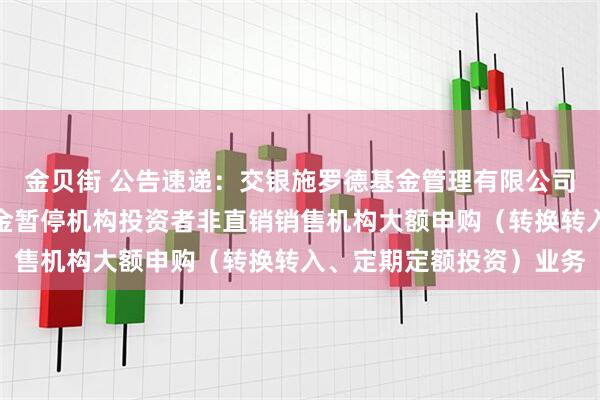 金贝街 公告速递：交银施罗德基金管理有限公司关于交银天益宝货币基金暂停机构投资者非直销销售机构大额申购（转换转入、定期定额投资）业务