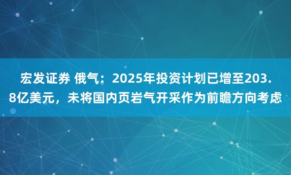 宏发证券 俄气：2025年投资计划已增至203.8亿美元，未将国内页岩气开采作为前瞻方向考虑
