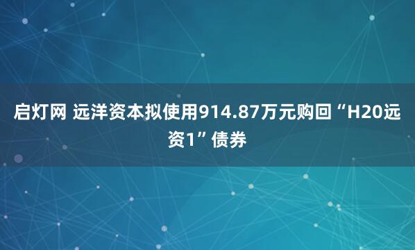 启灯网 远洋资本拟使用914.87万元购回“H20远资1”债券