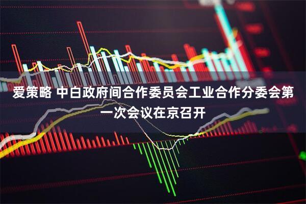 爱策略 中白政府间合作委员会工业合作分委会第一次会议在京召开